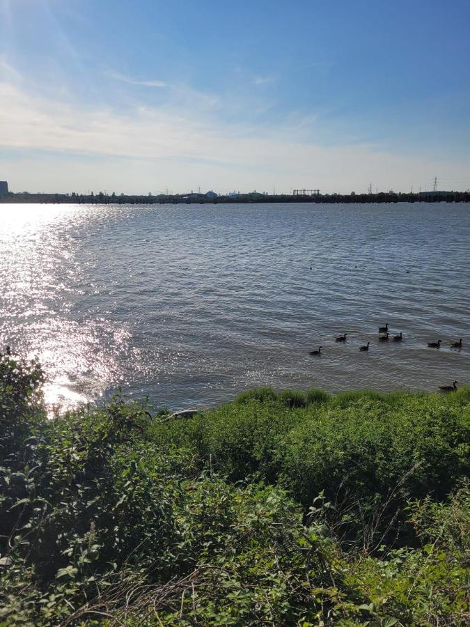 Fantastic Studio, Private Bathroom And Mini Kitchen. Thamesmead  外观 照片